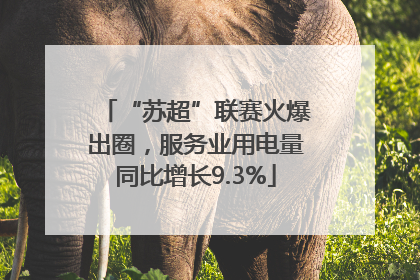 “苏超”联赛火爆出圈，服务业用电量同比增长9.3%